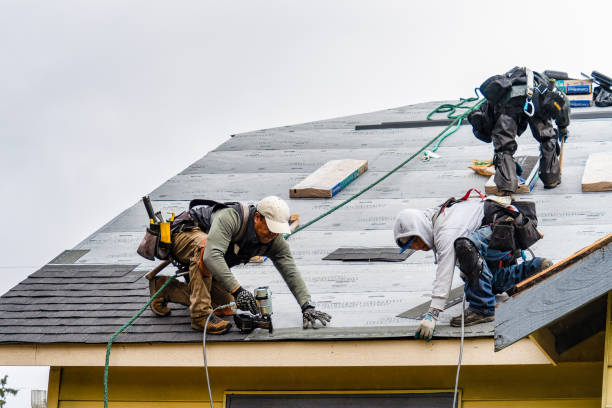 Professional Roofing technician working in Munford, AL